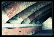 Arche acidic